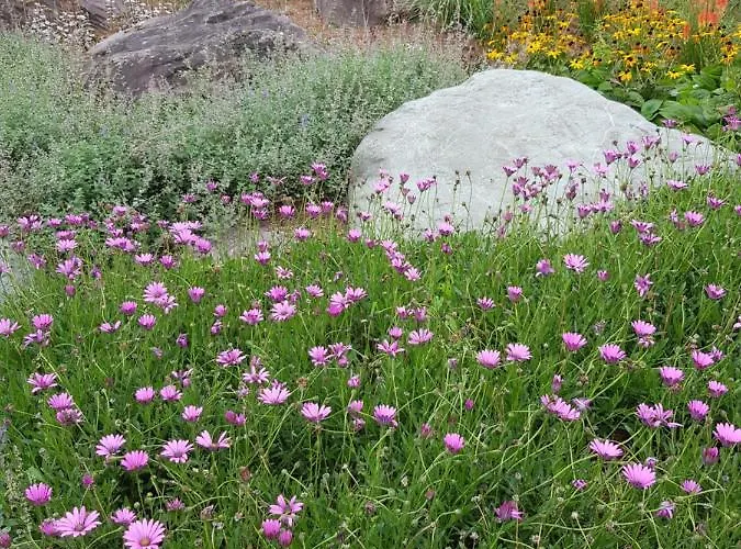 Edith Grove House 度假居 *