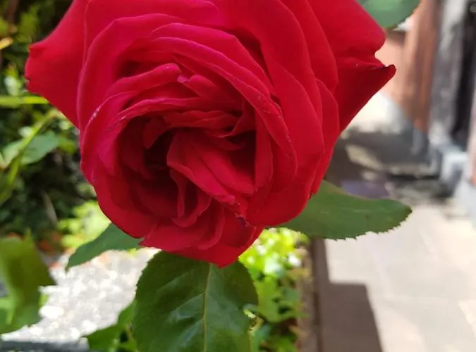 Nyaraló Edith Grove House