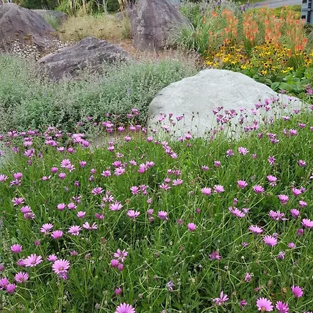 Edith Grove House Tatil Evi *